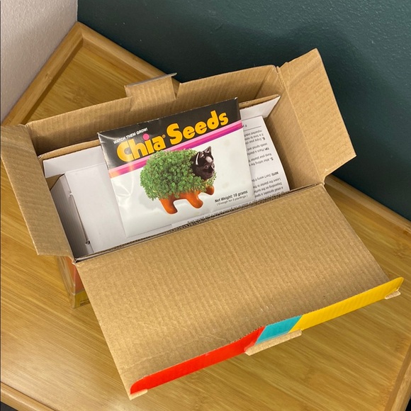 Richard Simmons Chia Pet Handmade Planter - Picture 4 of 5